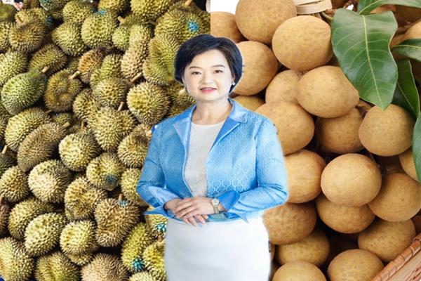ผลไม้ไทยในซีอาน Copy