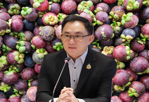 มังคุดไทย