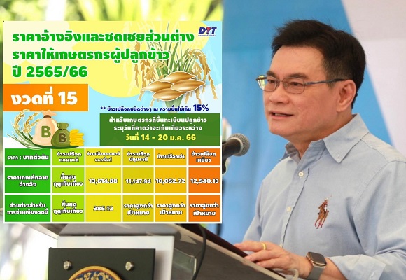 1 ข้าวงวด15