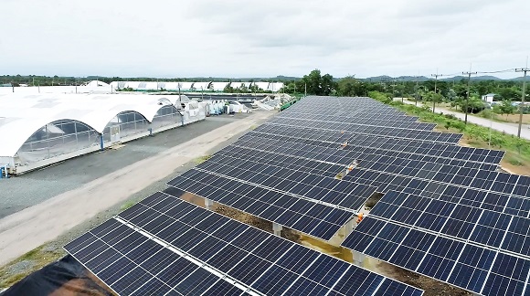 2215 CPF Solar