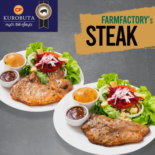 2534 Farmfactory
