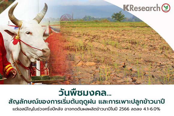 5736 KR THAI RICE