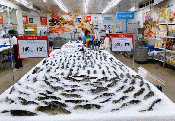 8858 Makro