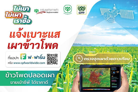 11994 CP ฟ ฟาร์ม