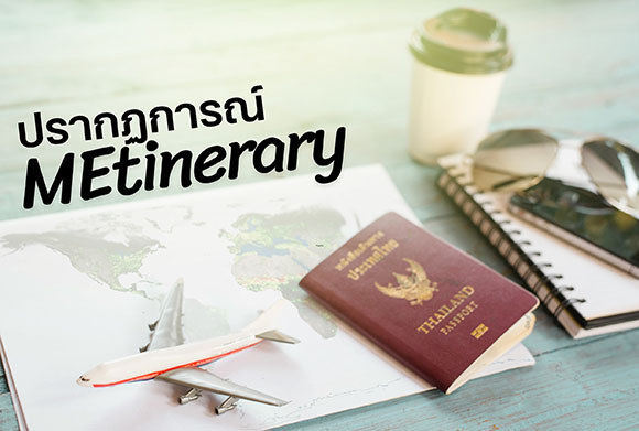 12253 RabbitCare MEtinerary