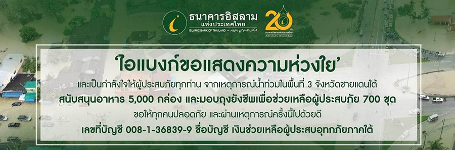 12956 iBank