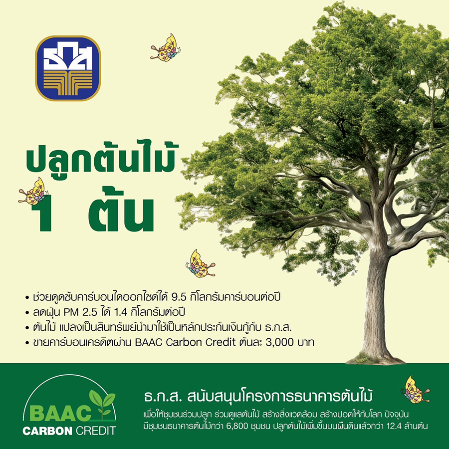 2228 BAAC218 02