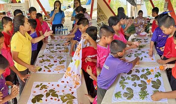 3415 CPF บ้านธรรมชาติล่าง 3