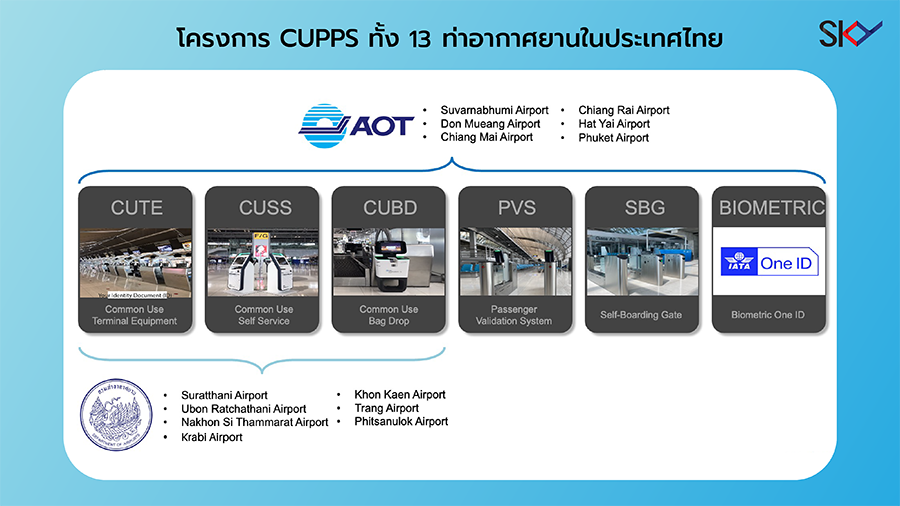 4283 SKY CUPPS 1